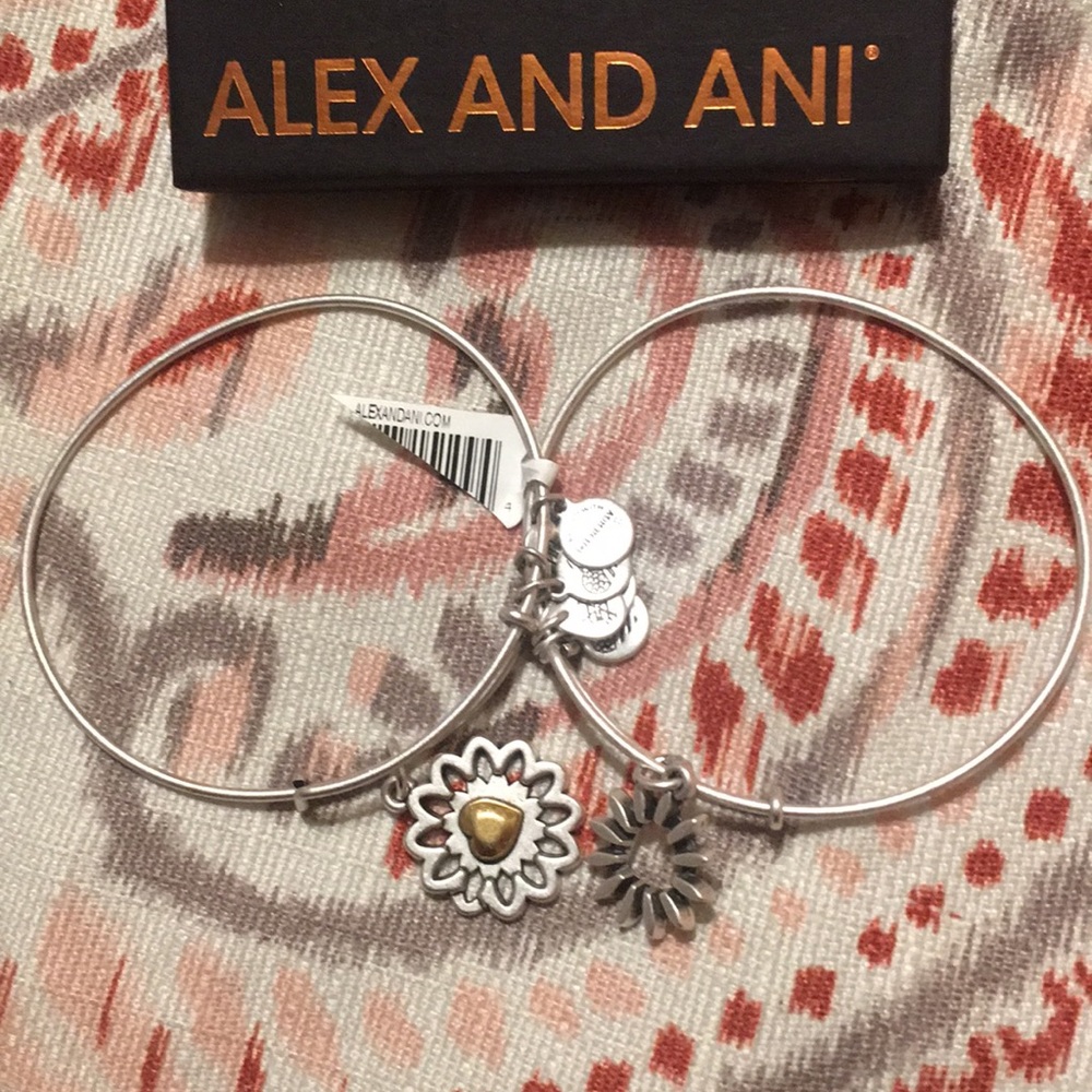 New Alex And Ani (New)